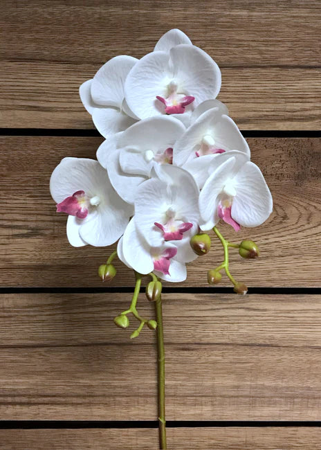 27.5" WHITE LAVENDER PHALAENOPSIS ORCHID SPRAY