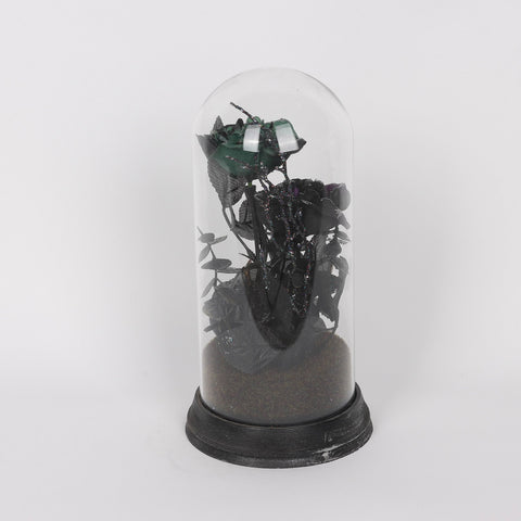 ?6.25*12.25‘‘Flower Table Décor W/ Transparent Cover
