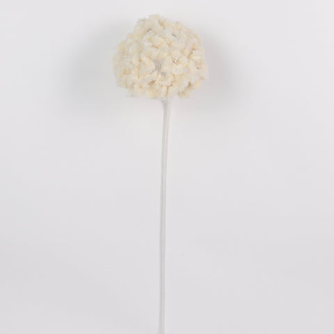 6*6*30‘’ Flower Pick