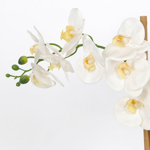 Nearly Natural Orchid Phalaenopsis Artificial Arrangement in Vase