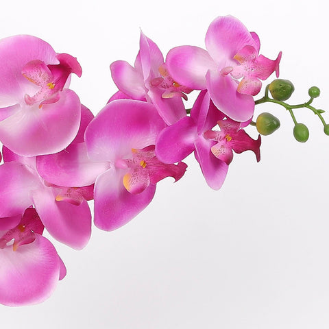 Nearly Natural Orchid Phalaenopsis Artificial Arrangement in Vase
