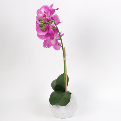 Nearly Natural Orchid Phalaenopsis Artificial Arrangement in Vase
