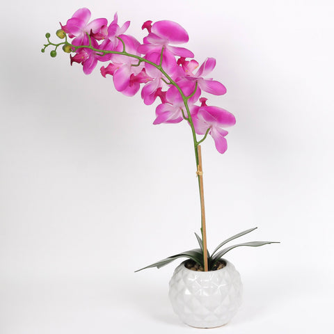 Nearly Natural Orchid Phalaenopsis Artificial Arrangement in Vase
