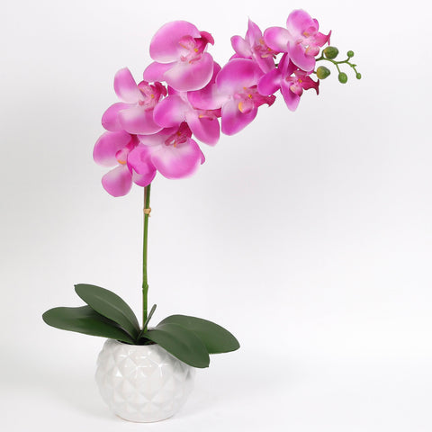Nearly Natural Orchid Phalaenopsis Artificial Arrangement in Vase