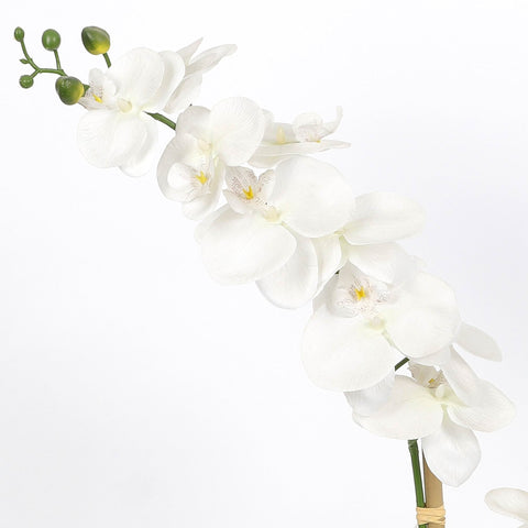 Nearly Natural Orchid Phalaenopsis Artificial Arrangement in Vase