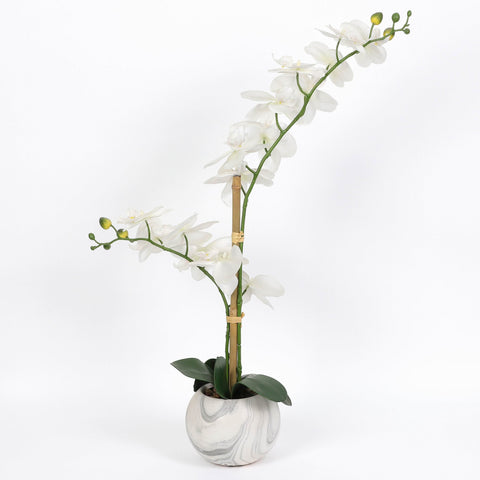Nearly Natural Orchid Phalaenopsis Artificial Arrangement in Vase