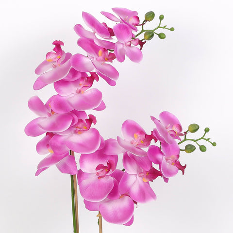 Nearly Natural Orchid Phalaenopsis Artificial Arrangement in Vase