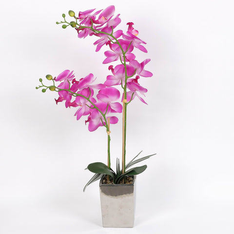 Nearly Natural Orchid Phalaenopsis Artificial Arrangement in Vase