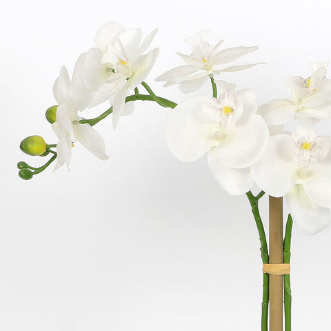 Nearly Natural Orchid Phalaenopsis Artificial Arrangement in Vase