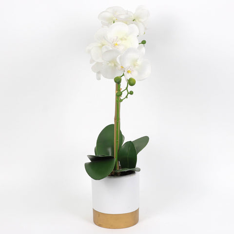 Nearly Natural Orchid Phalaenopsis Artificial Arrangement in Vase