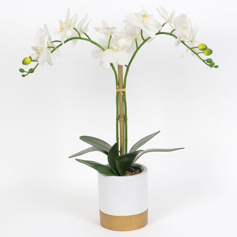 Nearly Natural Orchid Phalaenopsis Artificial Arrangement in Vase
