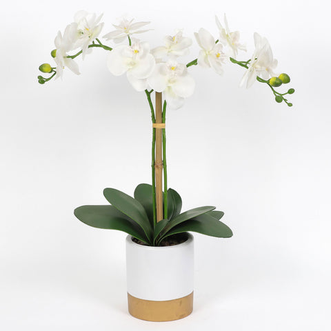 Nearly Natural Orchid Phalaenopsis Artificial Arrangement in Vase