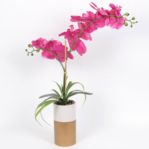 Nearly Natural Orchid Phalaenopsis Artificial Arrangement in Vase