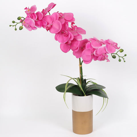 Nearly Natural Orchid Phalaenopsis Artificial Arrangement in Vase