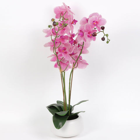 Nearly Natural Orchid Phalaenopsis Artificial Arrangement in Vase