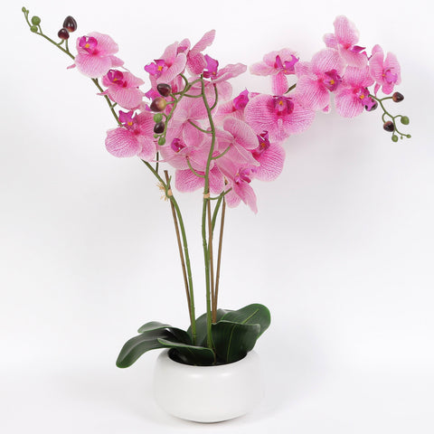 Nearly Natural Orchid Phalaenopsis Artificial Arrangement in Vase