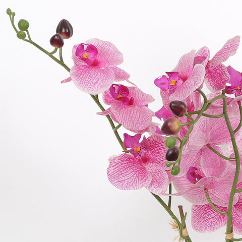 Nearly Natural Orchid Phalaenopsis Artificial Arrangement in Vase