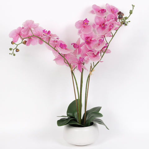 Nearly Natural Orchid Phalaenopsis Artificial Arrangement in Vase