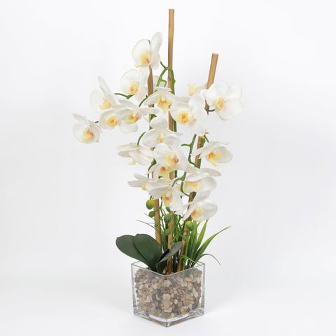 Nearly Natural Orchid Phalaenopsis Artificial Arrangement in Vase