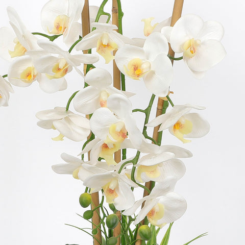 Nearly Natural Orchid Phalaenopsis Artificial Arrangement in Vase
