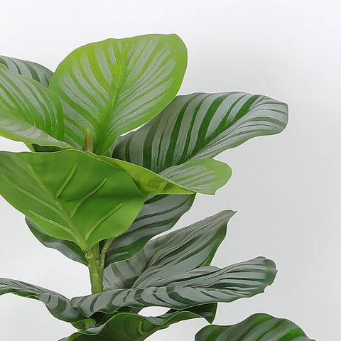 Greenery Décor | Home Decor | Interior Styling