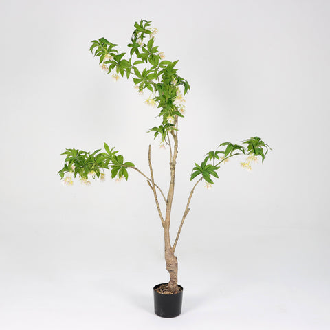 Greenery Tree Décor | Home Decor | Interior Styling