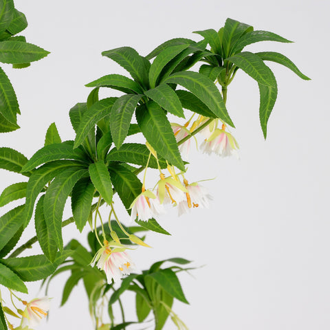 Greenery Tree Décor | Home Decor | Interior Styling