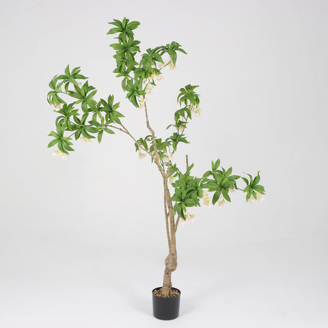Greenery Tree Décor | Home Decor | Interior Styling