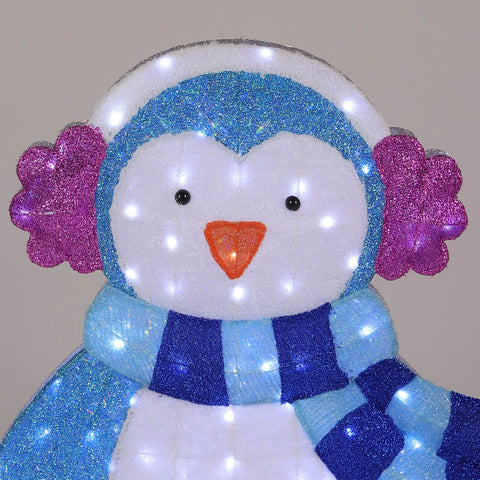 Christmas Outdoor Lighted Set