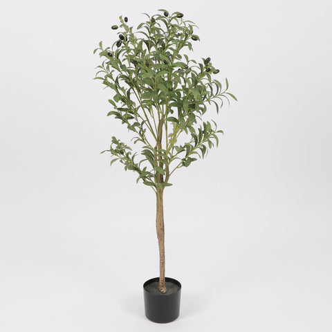 Greenery W/ Pot