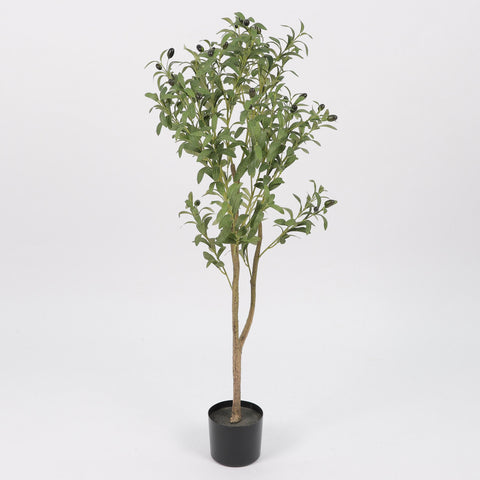 Greenery W/ Pot