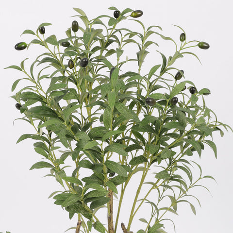 Greenery W/ Pot