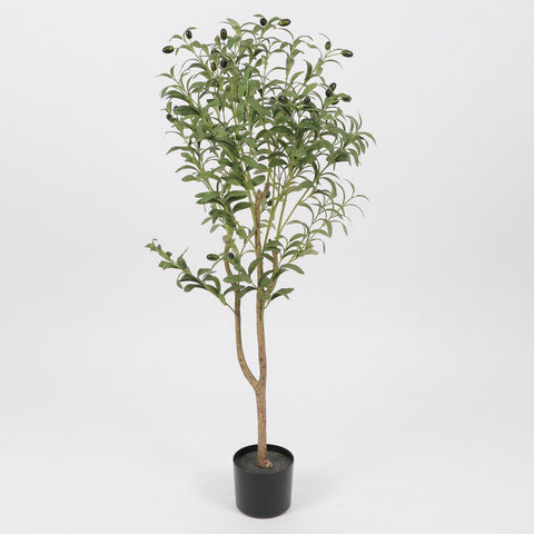 Greenery W/ Pot