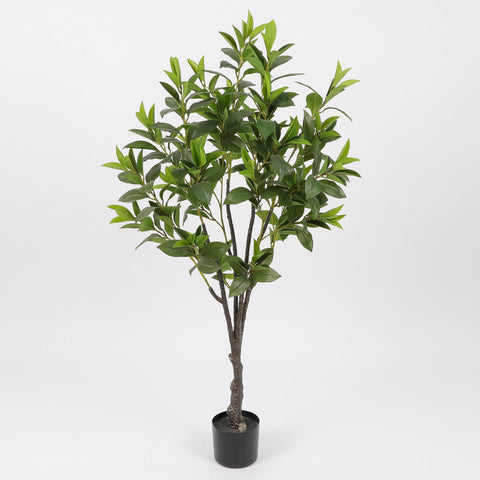 Greenery W/ Pot