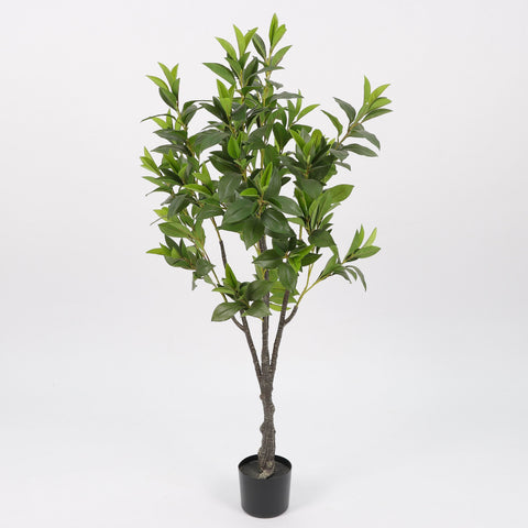 Greenery W/ Pot