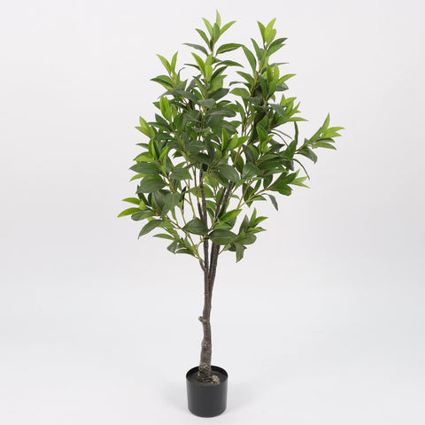 Greenery W/ Pot