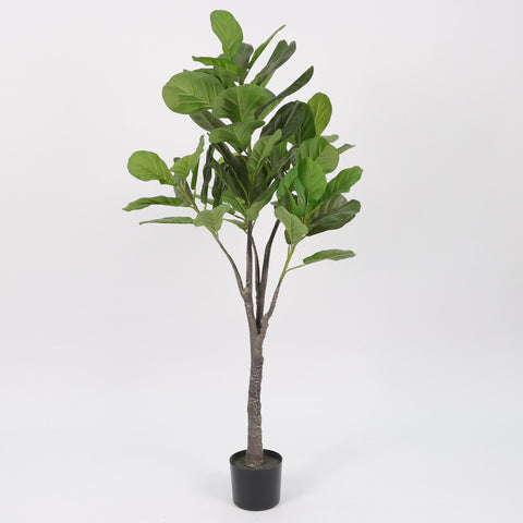 Greenery W/ Pot