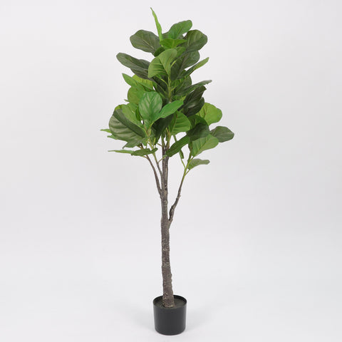 Greenery W/ Pot