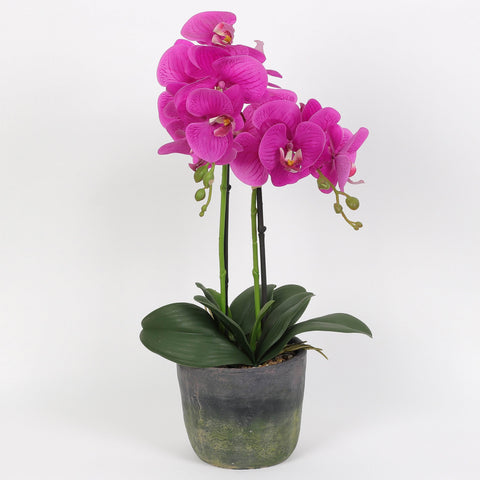 Nearly Natural Orchid Phalaenopsis Artificial Arrangement in Vase