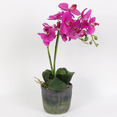 Nearly Natural Orchid Phalaenopsis Artificial Arrangement in Vase