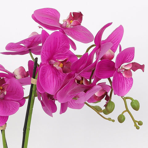 Nearly Natural Orchid Phalaenopsis Artificial Arrangement in Vase