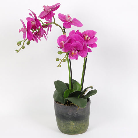 Nearly Natural Orchid Phalaenopsis Artificial Arrangement in Vase