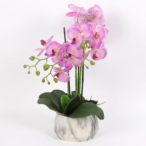 Nearly Natural Orchid Phalaenopsis Artificial Arrangement in Vase