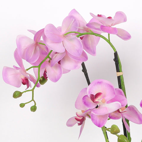 Nearly Natural Orchid Phalaenopsis Artificial Arrangement in Vase