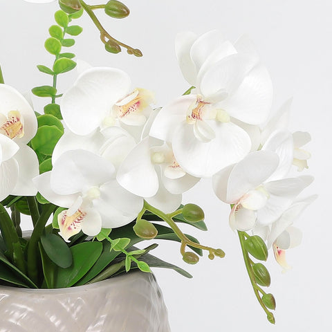 Nearly Natural Orchid Phalaenopsis Artificial Arrangement in Vase