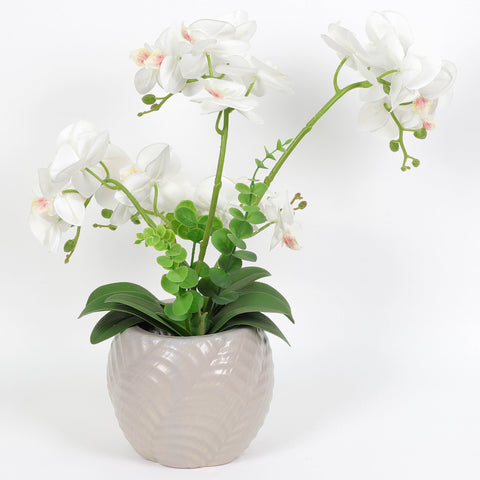 Nearly Natural Orchid Phalaenopsis Artificial Arrangement in Vase