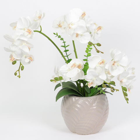 Nearly Natural Orchid Phalaenopsis Artificial Arrangement in Vase