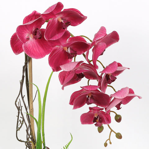 Nearly Natural Orchid Phalaenopsis Artificial Arrangement in Vase