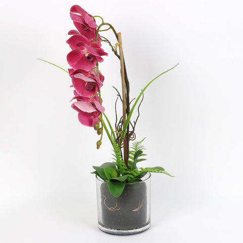 Nearly Natural Orchid Phalaenopsis Artificial Arrangement in Vase
