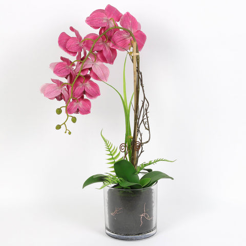 Nearly Natural Orchid Phalaenopsis Artificial Arrangement in Vase